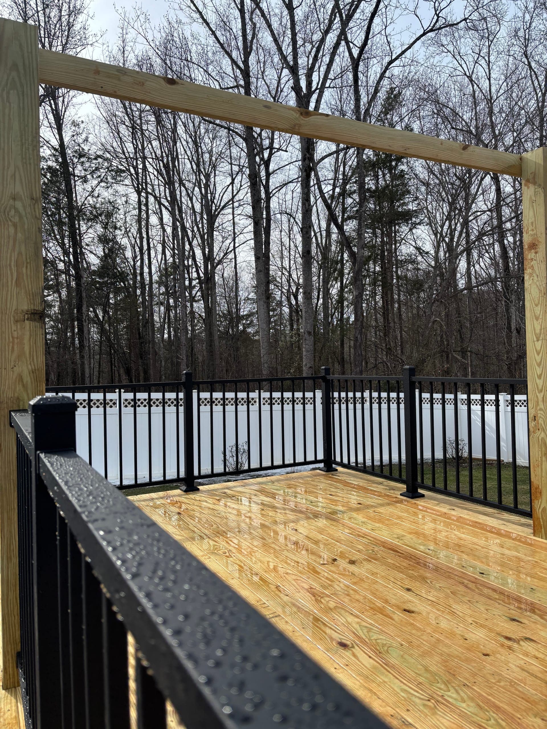 Privacy Fence + Snow