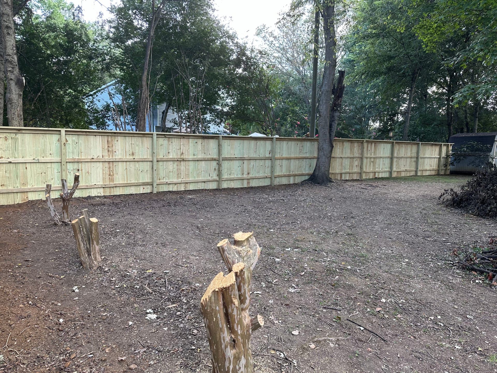A well-maintained pressure-treated wood fence in a residential backyard in the Carolinas.
